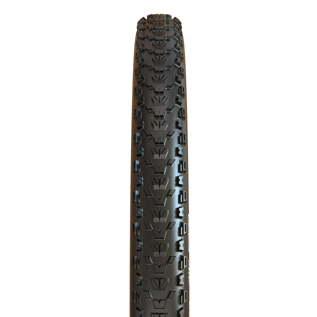 MAXXIS ARDENT Tanwall | Bike Bunker Singapore