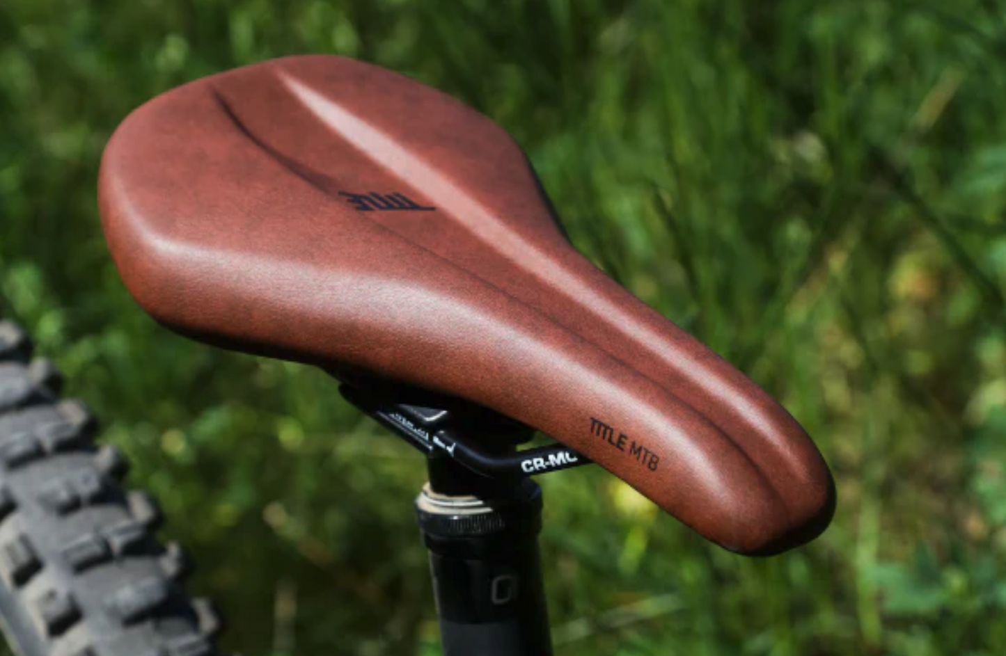 TITLE MS2 Saddle
