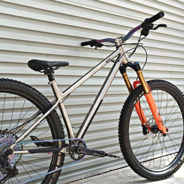 BERM REXX Enduro Hardtail Titanium Frame