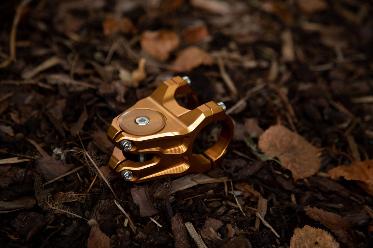 06.3 OAK Eternal Stem W/Topcap