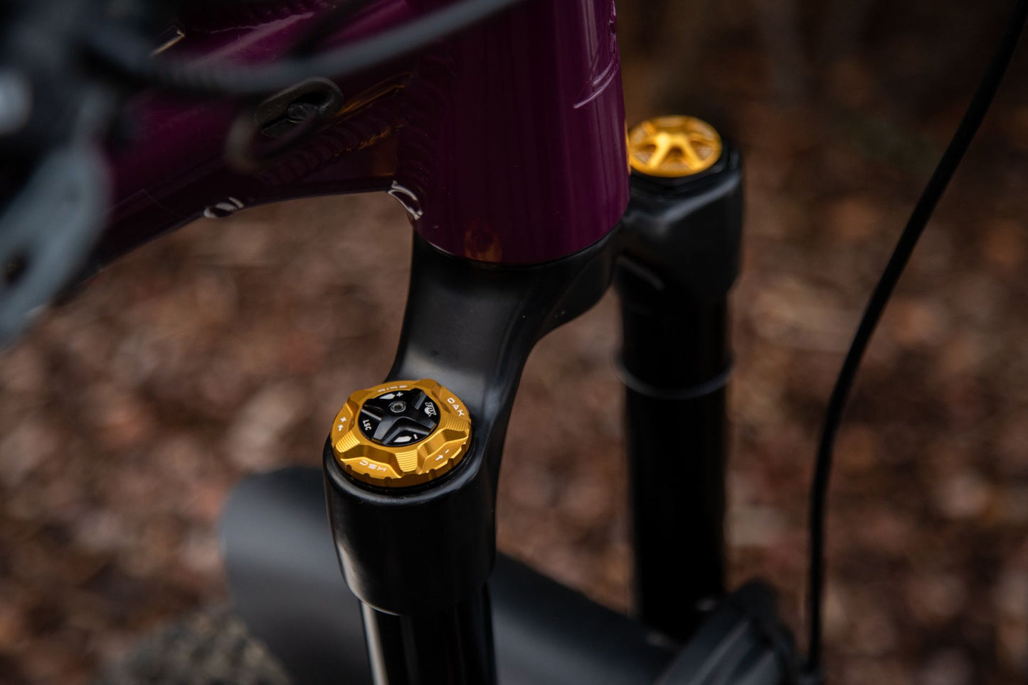 01 OAK Forkcap HSC for suspension fork