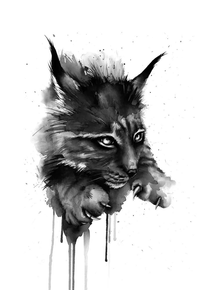 TRICKSTUFF DISC BRAKE PICCOLA HD TITANIUM