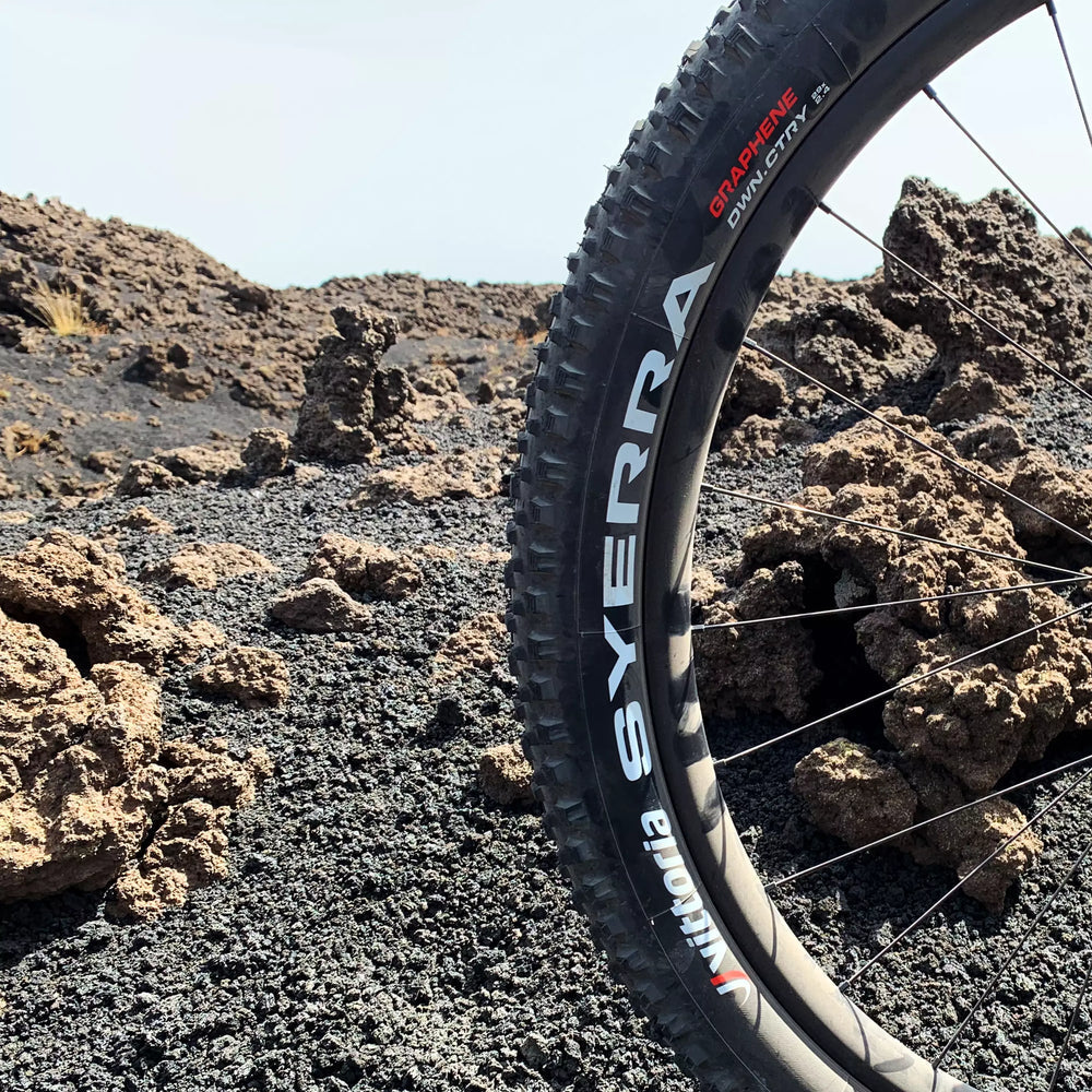 13 Vittoria SYERRA 29" Tire Down-Country