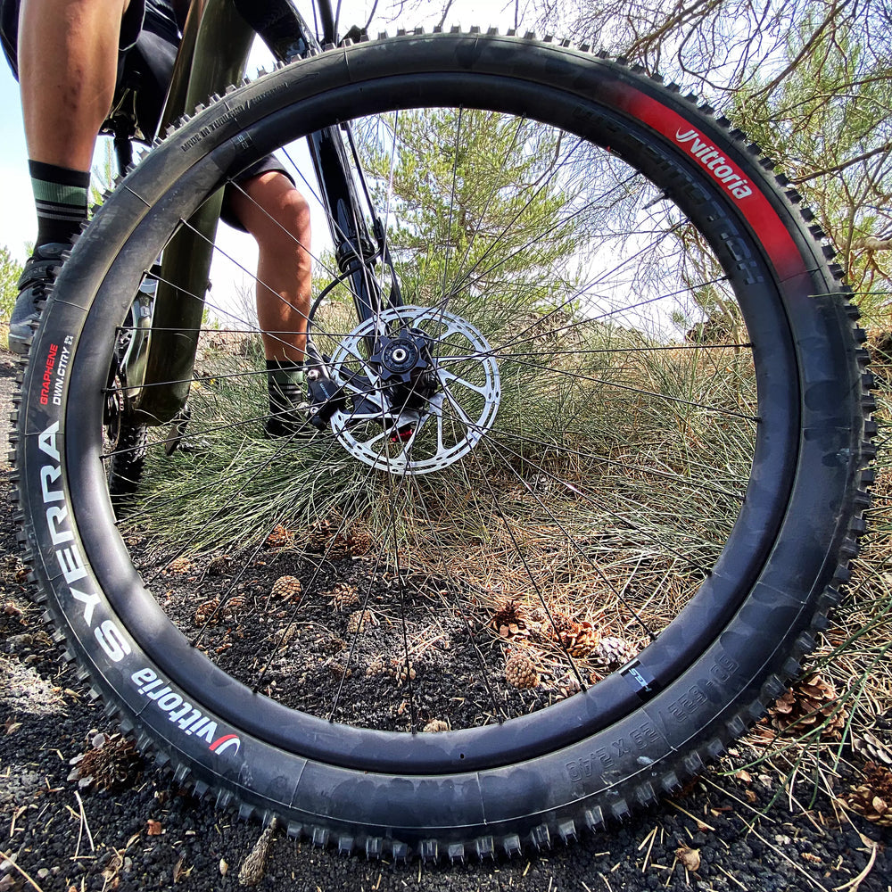 13 Vittoria SYERRA 29" Tire Down-Country